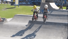 4 year old bmx twins