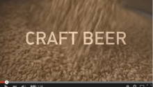 craft beer, budweiser spoof