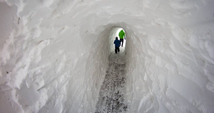 boston snow tunnel, bike path snow tunnel, wellington greenway, medford bike path, medford bike path tunnel